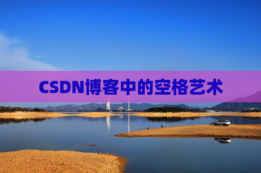 CSDN博客中的空格艺术